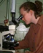 KAE at the microscope
